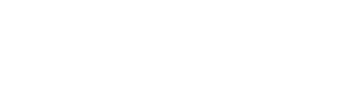 Mishelle Financial Group